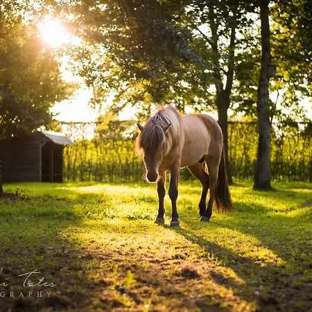 Domein Den Buiten Dnd Bed & Breakfast Sint-Niklaas